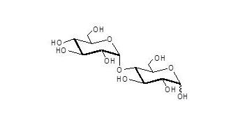 麦芽糖 Maltose