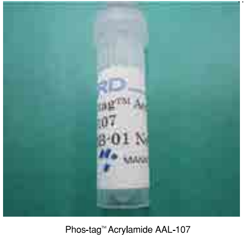 Phos-tag(TM) Acrylamide Phos-tag丙烯酰胺