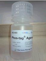Phos-tag(TM) Agarose Phos-tag 瓊脂糖