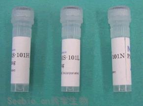 Phos-tag(TM) 质谱分析试剂盒 Phos-tag(TM) Mass Analytical Kit