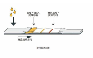 因为独立，所以强大——优质的独立C线质控系统DNP抗原抗体