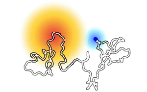 《Nature》解锁未知分子开关:一种特定蛋白质区域导致乳腺癌