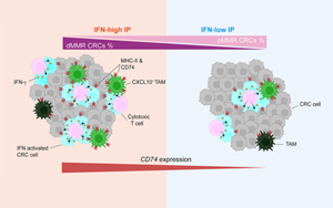 Cancer Cell:蛋白水平预测肠癌免疫治疗反应