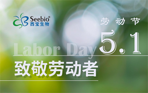 五一劳动节放假通知|致敬不凡 礼赞平凡