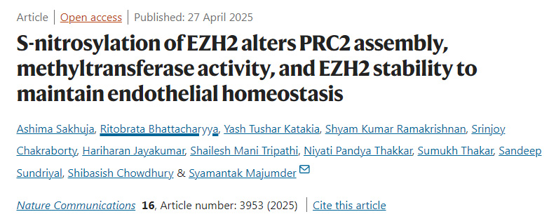 EZH2的S-亚硝基化通过改变PRC2复合物的组装、甲基转移酶活性及EZH2的稳定性来维持内皮稳态 EZH2的S-亚硝基化通过改变PRC2复合物的组装、甲基转移酶活性及EZH2的稳定性来维持内皮稳态