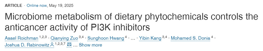 膳食植物化学物质的微生物组代谢调控PI3K抑制剂的抗癌活性 膳食植物化学物质的微生物组代谢调控PI3K抑制剂的抗癌活性