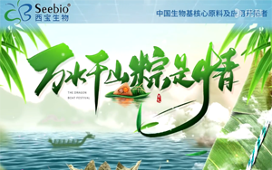 艾香粽叶裹温情 | 西宝生物端午福利致家人 艾香粽叶裹温情 | 西宝生物端午福利致家人