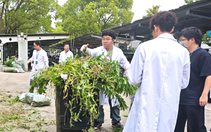 五月劳作培沃土 并蒂同心绽新荣