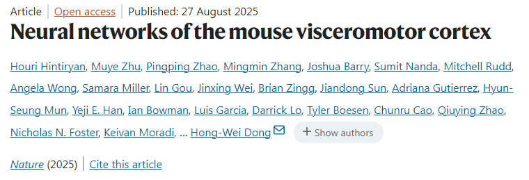 小鼠内脏运动皮层的神经网络 小鼠内脏运动皮层的神经网络