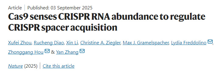 Cas9通过感知CRISPR RNA丰度来调控CRISPR间隔序列的获取 Cas9通过感知CRISPR RNA丰度来调控CRISPR间隔序列的获取