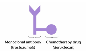 抗体药物偶联物Trastuzumab Deruxtecan在HER2低表达转移性乳腺癌中的长期生存获益：DESTINY-Breast04 III期试验最终分析