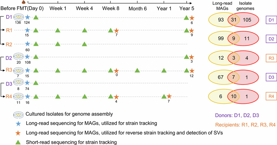 CDI患者样本采集与粪菌移植研究设计阐述