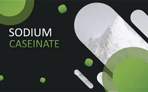 酪蛋白酸钠在诊断试剂中的核心应用解析 酪蛋白酸钠在诊断试剂中的核心应用解析