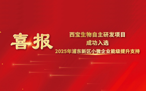 喜报 | 西宝生物“可拉酸”项目成功入围2025年浦东新区小微企业提升能级项目,喜获专项支持 喜报 | 西宝生物“可拉酸”项目成功入围2025年浦东新区小微企业提升能级项目,喜获专项支持