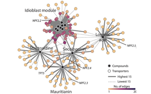 PNAS：首次整合两种单细胞方法来解析药用植物