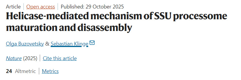 解旋酶介导的小亚基加工体成熟与解聚机制 解旋酶介导的小亚基加工体成熟与解聚机制
