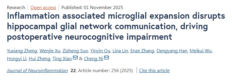 炎症相关的小胶质细胞扩增会破坏海马区胶质细胞网络的通信,进而引发术后神经认知功能障碍 炎症相关的小胶质细胞扩增会破坏海马区胶质细胞网络的通信,进而引发术后神经认知功能障碍