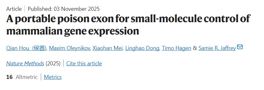 通用型毒性外显子:小分子调控哺乳动物基因表达的新策略 通用型毒性外显子:小分子调控哺乳动物基因表达的新策略