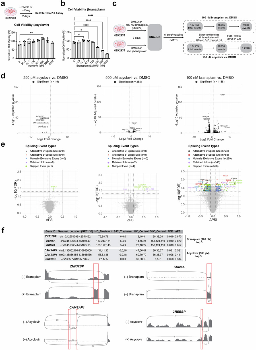 阿昔洛韦处理对细胞活力、基因表达及选择性剪接的影响 阿昔洛韦处理对细胞活力、基因表达及选择性剪接的影响