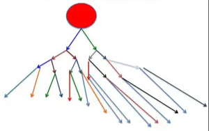 谱系限制性干细胞对人类造血的稳定克隆贡献揭示造血干细胞命运决定新机制