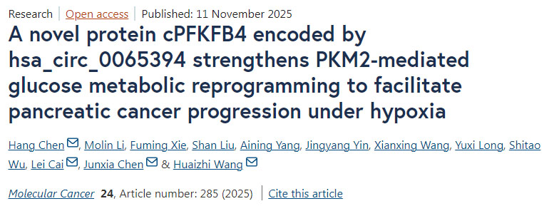 由hsa_circ_0065394编码的新型蛋白cPFKFB4通过增强PKM2介导的葡萄糖代谢重编程,促进胰腺癌在缺氧条件下的进展 由hsa_circ_0065394编码的新型蛋白cPFKFB4通过增强PKM2介导的葡萄糖代谢重编程,促进胰腺癌在缺氧条件下的进展