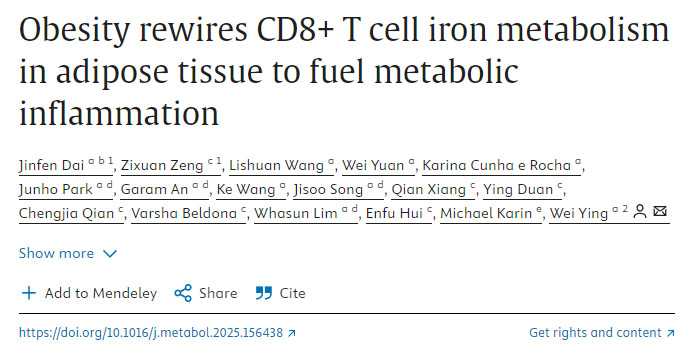 肥胖重塑脂肪组织中CD8+ T细胞的铁代谢以加剧代谢性炎症