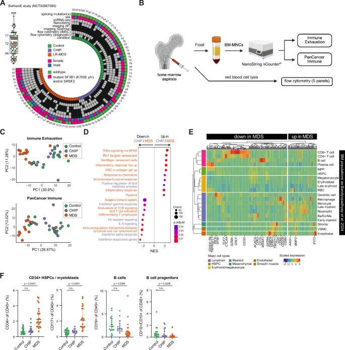CHIP与MDS整体骨髓炎症表达谱分析