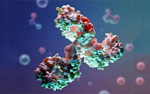 糖基化分析在生物制药中的应用