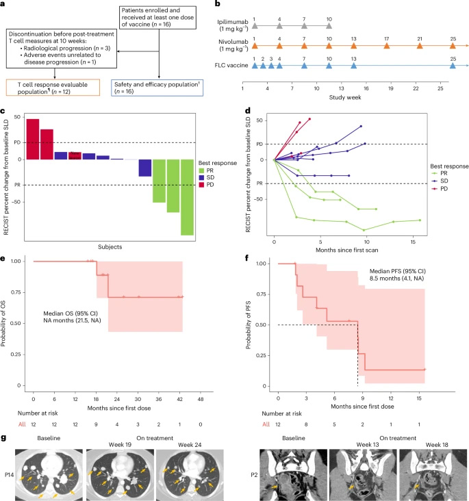 FLC疫苗联合伊匹木单抗与纳武利尤单抗治疗FLC患者的临床疗效 FLC疫苗联合伊匹木单抗与纳武利尤单抗治疗FLC患者的临床疗效