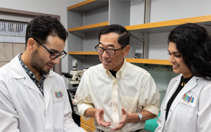 斯坦福大学新细胞疗法治愈了小鼠的1型糖尿病