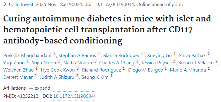 基于CD117抗体的预处理后，通过胰岛及造血细胞移植治愈小鼠自身免疫性糖尿病