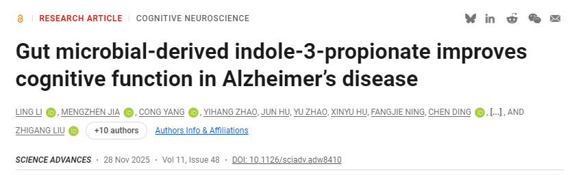 肠道微生物衍生的吲哚-3-丙酸改善阿尔茨海默病认知功能