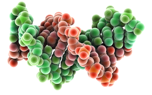 《Nature》不需要长期抗病毒治疗就能控制HIV的关键