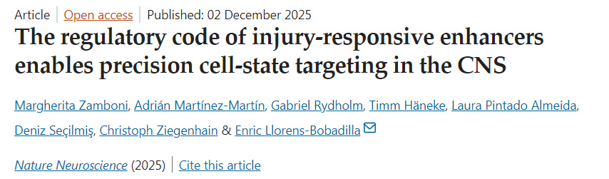 损伤响应增强子的调控规则使中枢神经系统中的精准细胞状态靶向成为可能 损伤响应增强子的调控规则使中枢神经系统中的精准细胞状态靶向成为可能