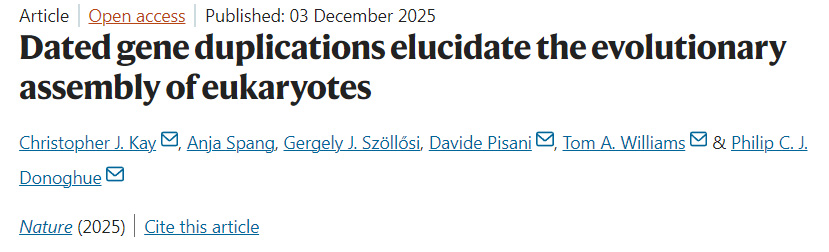 基于年代的基因复制事件揭示了真核生物的进化组装过程