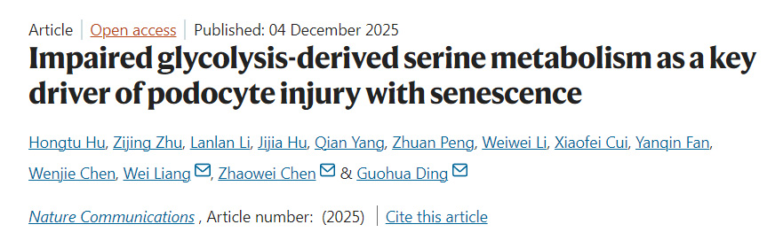 糖酵解途径受损所致的丝氨酸代谢紊乱是足细胞衰老性损伤的关键驱动因素
