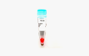 R-藻红蛋白标记链霉亲和素（PE-SA）