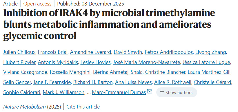 微生物三甲胺抑制IRAK4可削弱代谢性炎症并改善血糖控制 微生物三甲胺抑制IRAK4可削弱代谢性炎症并改善血糖控制