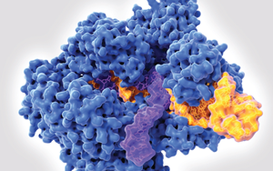西宝生物生化诊断酶：精准诊断的核心助力