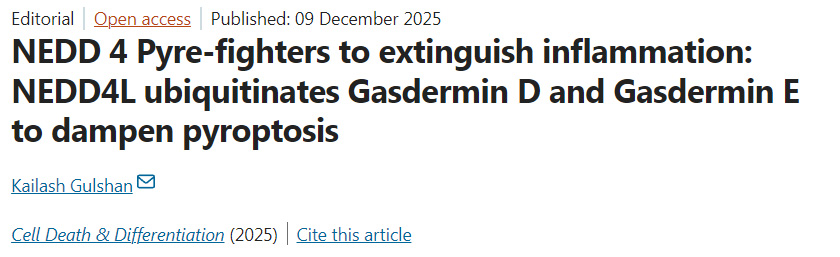 NEDD4作为焦亡斗士平息炎症：NEDD4L通过泛素化Gasdermin D与Gasdermin E抑制细胞焦亡