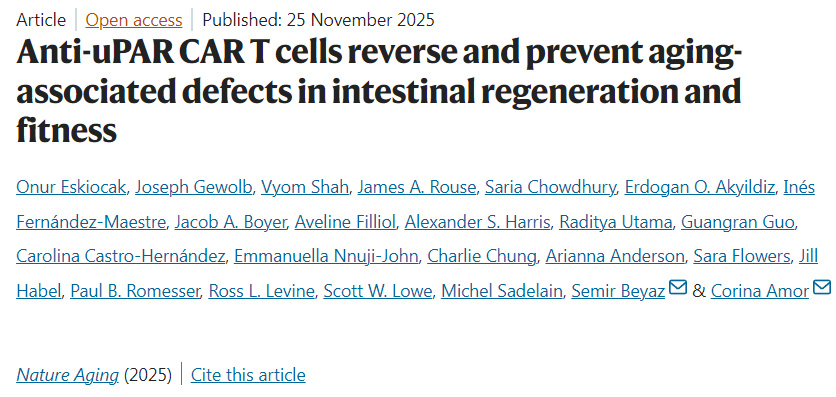 抗uPAR CAR-T细胞可逆转并预防衰老相关的肠道再生与机能缺陷 抗uPAR CAR-T细胞可逆转并预防衰老相关的肠道再生与机能缺陷