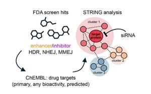 普通药物可能会影响CRISPR治疗结果和精确的癌症治疗
