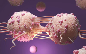 Science：首次从分子层面上解释染色体碎裂是如何发生的