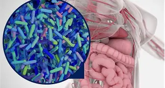 基因特异性选择清除现象在人类肠道微生物组中普遍存在