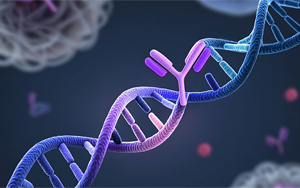 科学-转化医学：靶标蛋白的遗传变异可能影响抗体疗法的效果