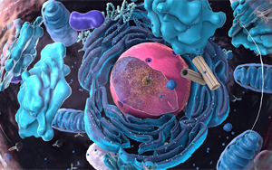 Cell Systems：细胞如何平衡其蛋白质水平