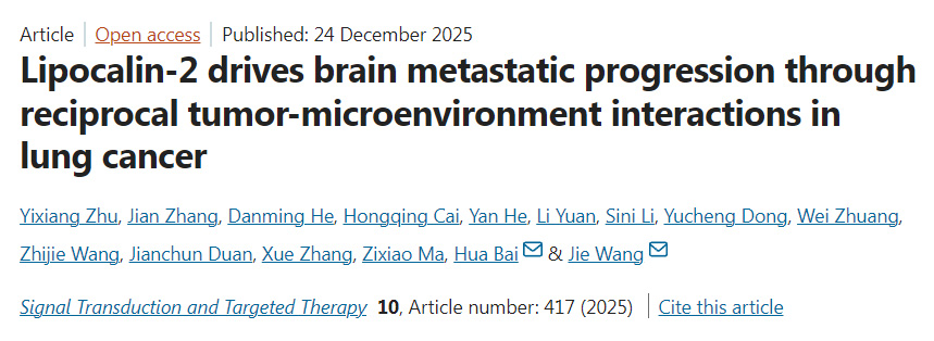 脂质运载蛋白-2通过肺癌中肿瘤与微环境的相互作用驱动脑转移进展 脂质运载蛋白-2通过肺癌中肿瘤与微环境的相互作用驱动脑转移进展