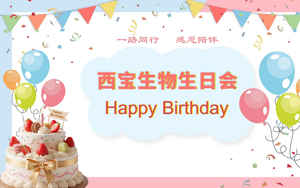抢凳争先锋 夺魁乐无穷!西宝生物12月生日会快乐举行