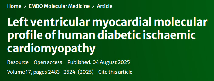 人类糖尿病缺血性心肌病的左心室心肌分子谱