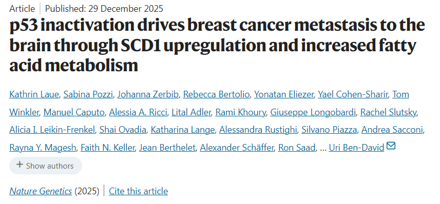 p53失活通过上调SCD1及增强脂肪酸代谢驱动乳腺癌向脑部转移 p53失活通过上调SCD1及增强脂肪酸代谢驱动乳腺癌向脑部转移